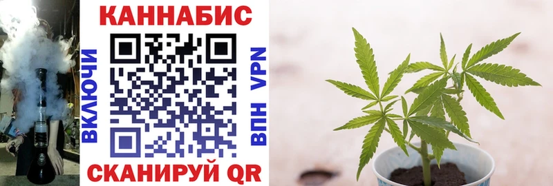 Все наркотики Саяногорск Гашиш  Каннабис  APVP  Галлюциногенные грибы  Мефедрон 