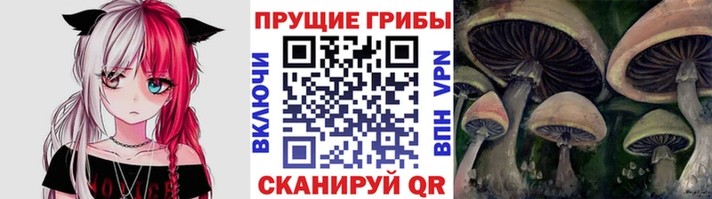 Галлюциногенные грибы мухоморы Саяногорск