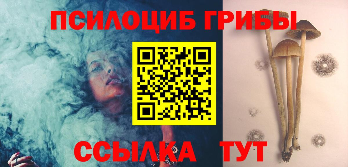 Псилоцибиновые грибы прущие грибы Саяногорск